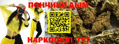 шишки Сланцы