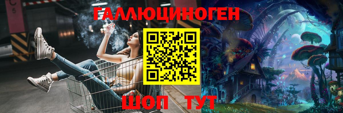 Псилоцибиновые грибы Psilocybine cubensis Новороссийск