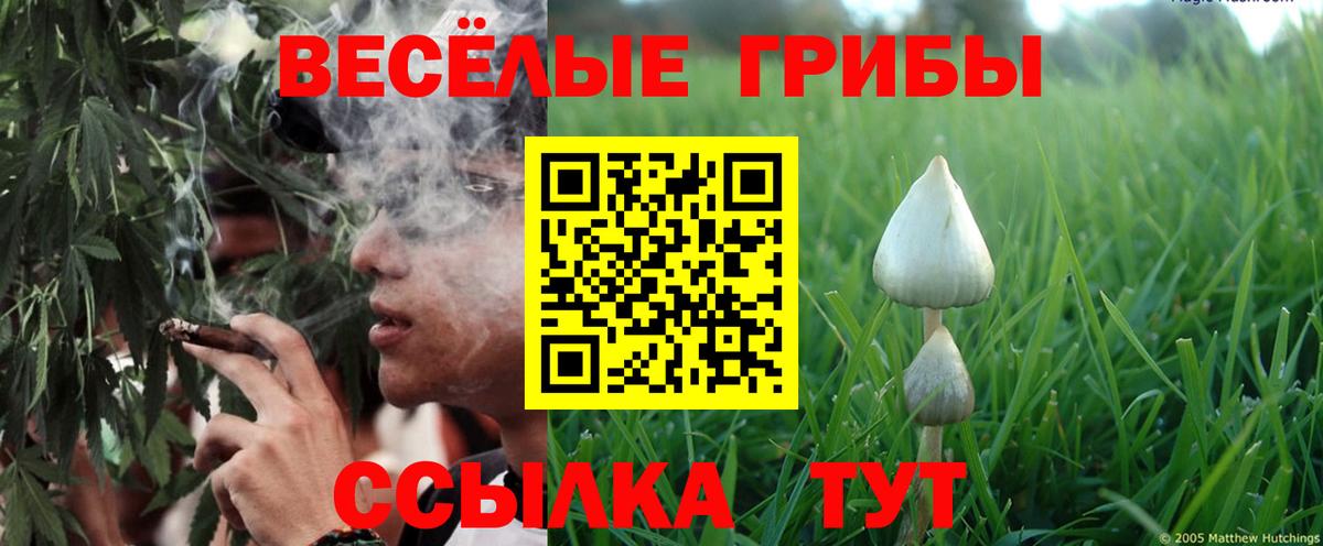 Псилоцибиновые грибы Magic Shrooms  Вход с VPN  Новороссийск 
